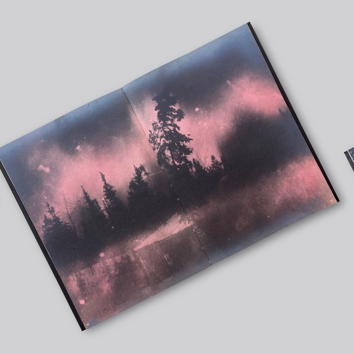 Timothy Prus / Gone | POST