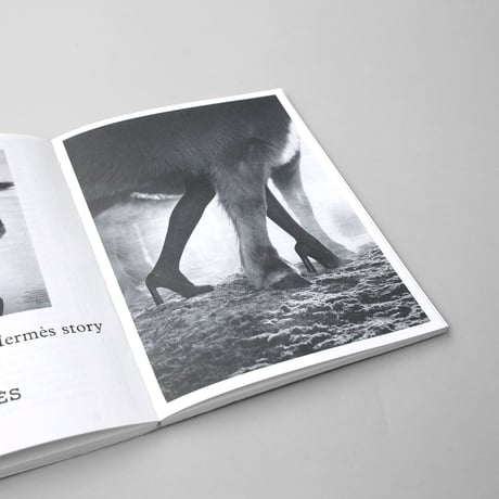 Femke de Vries / Fashioning Value— Undressing Ornament - 2nd edition