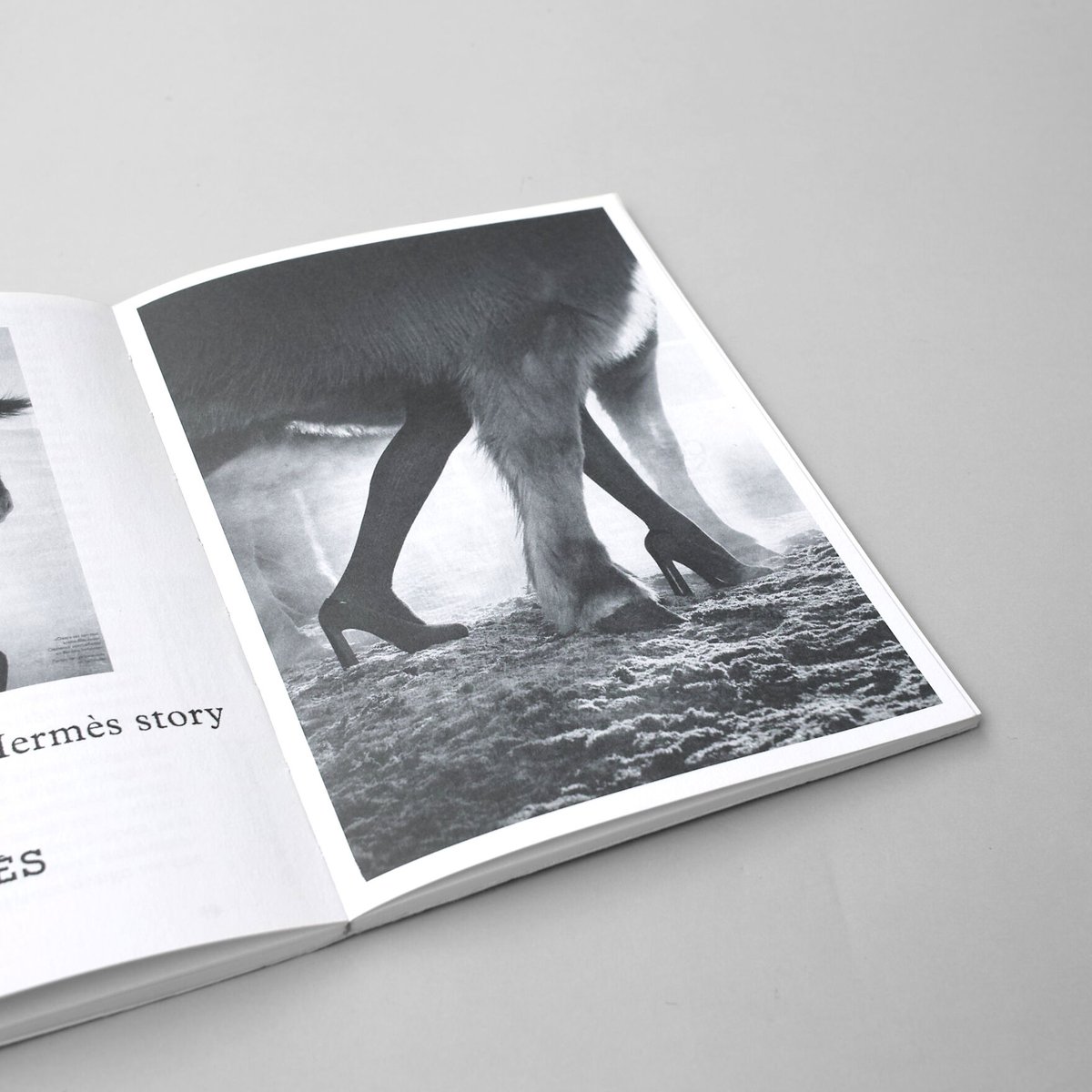 Femke de Vries / Fashioning Value— Undressing O