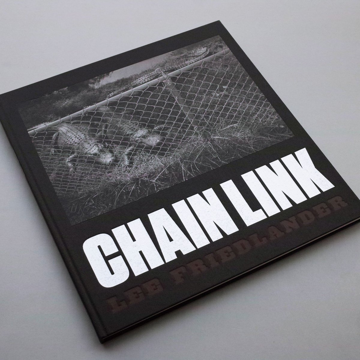 Lee Friedlander / Chain Link | POST