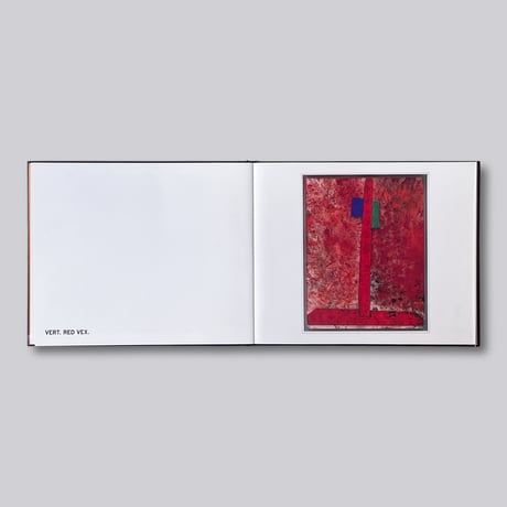 Sterling Ruby / Widw