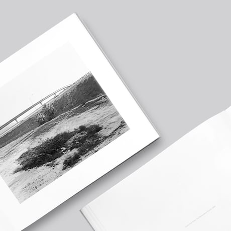 Robert Adams / Los Angeles Spring