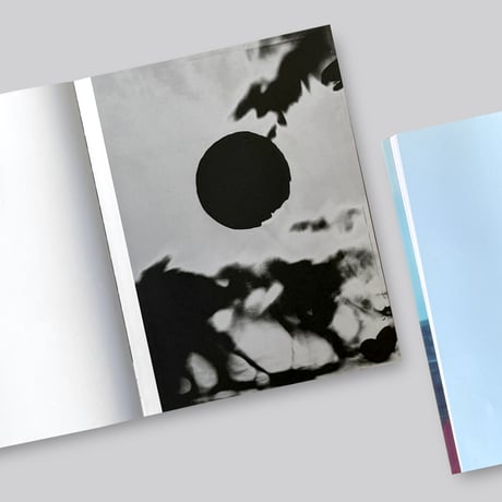 Takashi Homma / THE NARCISSISTIC CITY