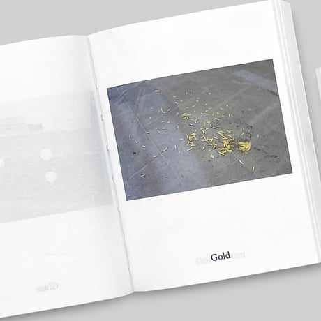 Anne Geene & Arjan De Nooy / Dictionary