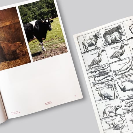 Jens Hoffmann / Animality