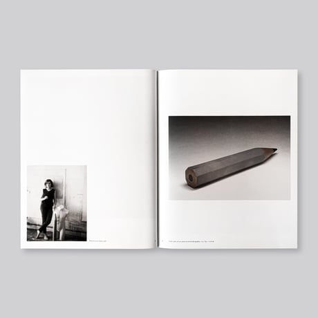 Vija Celmins