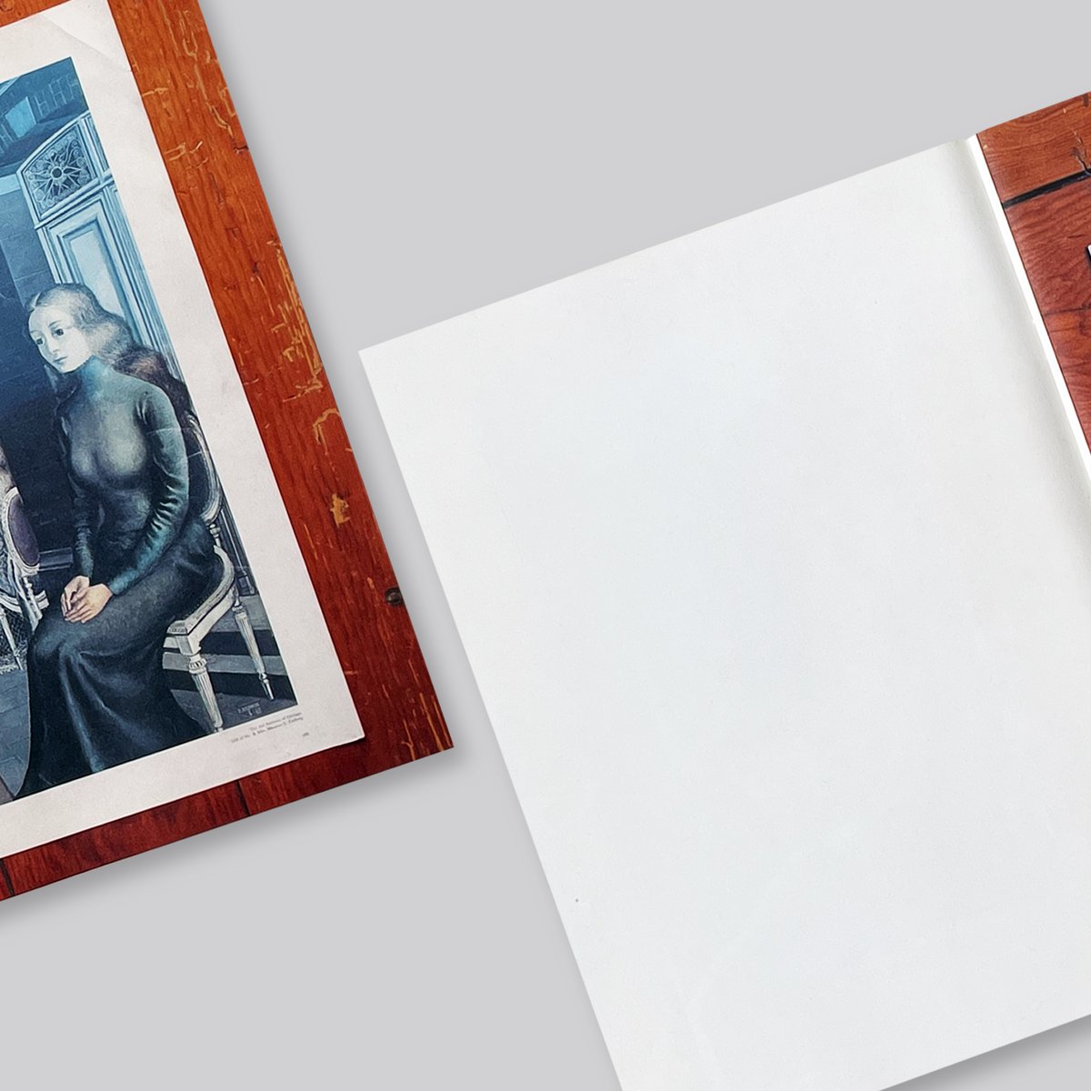 Mark Manders, Roger Willems / The Images of Lui