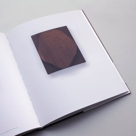 Ellsworth Kelly / Wood Sculpture