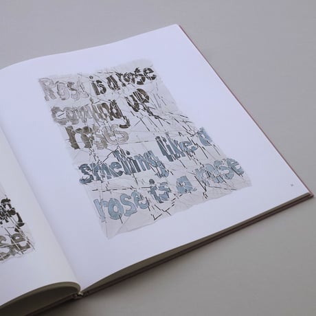 Roni Horn / Th Rose Prblm