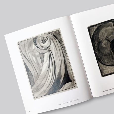 Georgia O'Keeffe / To See Takes Time