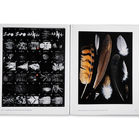 Hans Hansen / Still Life – Photographs 1957– 2017