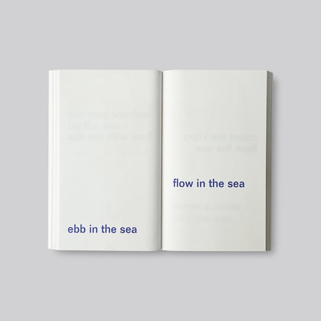 【Signed】David Horvitz / Adjust the level of the sea