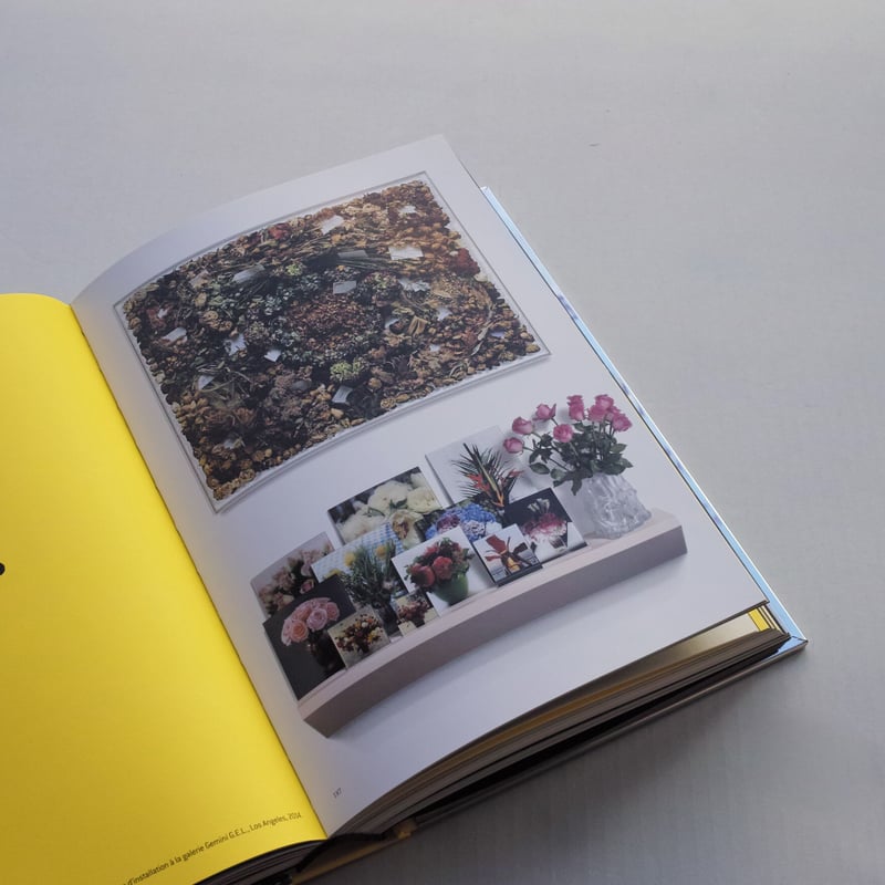 ソフィ・カル M'as-tu vue? Sophie Calle ソフィ・カル 作品集 M