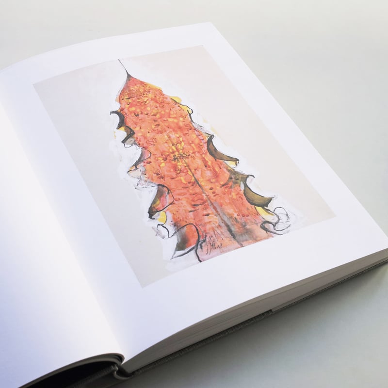 Ellsworth Kelly / Plant Drawings | POST