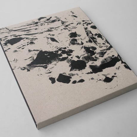 Geert Goiris / World Without Us