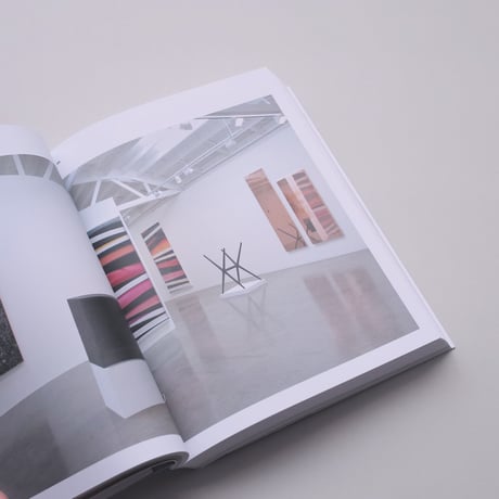 Walead Beshty / Works in Exhibition 2011-2020