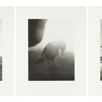 Stephen Gill / The Pillar - Collotype 1, 2, 3 Set - Edition 30