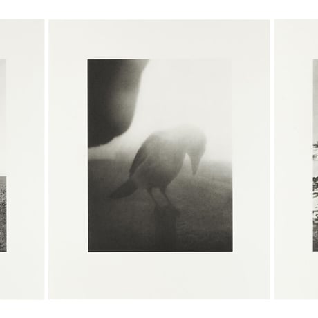 Stephen Gill / The Pillar - Collotype 1, 2, 3 Set - Edition 30