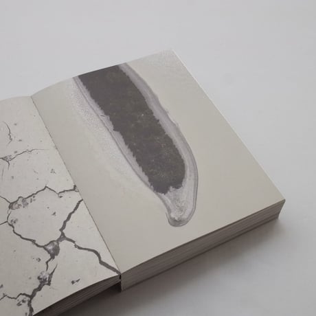 Birgitta De Vos / Omnipresent | Beyond Borders