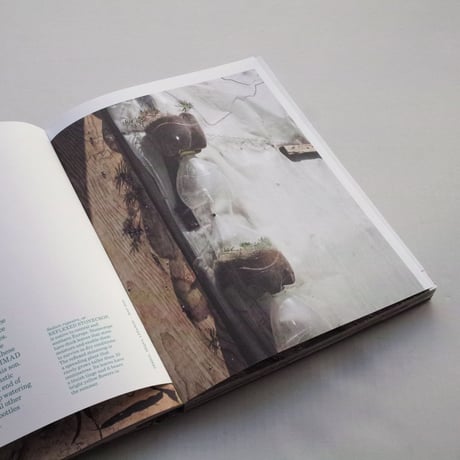 Henk Wildschut / Rooted