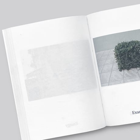Anne Geene & Arjan De Nooy / Dictionary