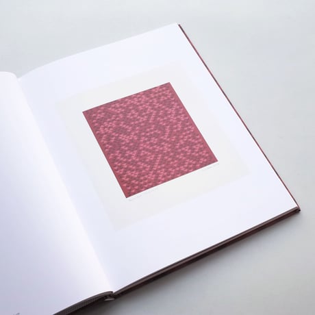 Anni Albers / Camino Real