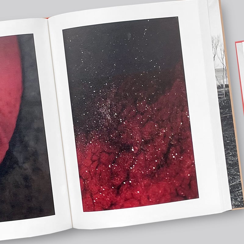 アート・デザイン・音楽 Please Notify the Sun Stephen Gill アート・デザイン・音楽 Please Notify the Sun Stephen Gill