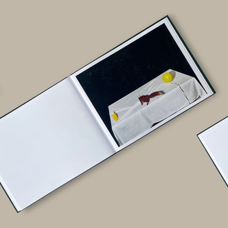 【CC】Lia Darjes / PLATES I-XXXI