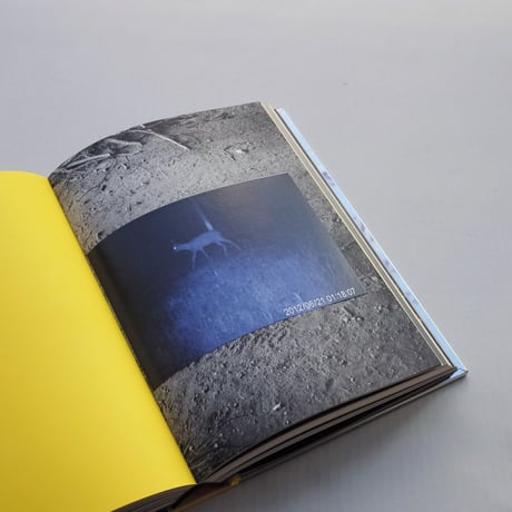 Sophie Calle / Ainsi de suite