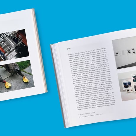 【T&H】Stephen Shore / Solving Pictures