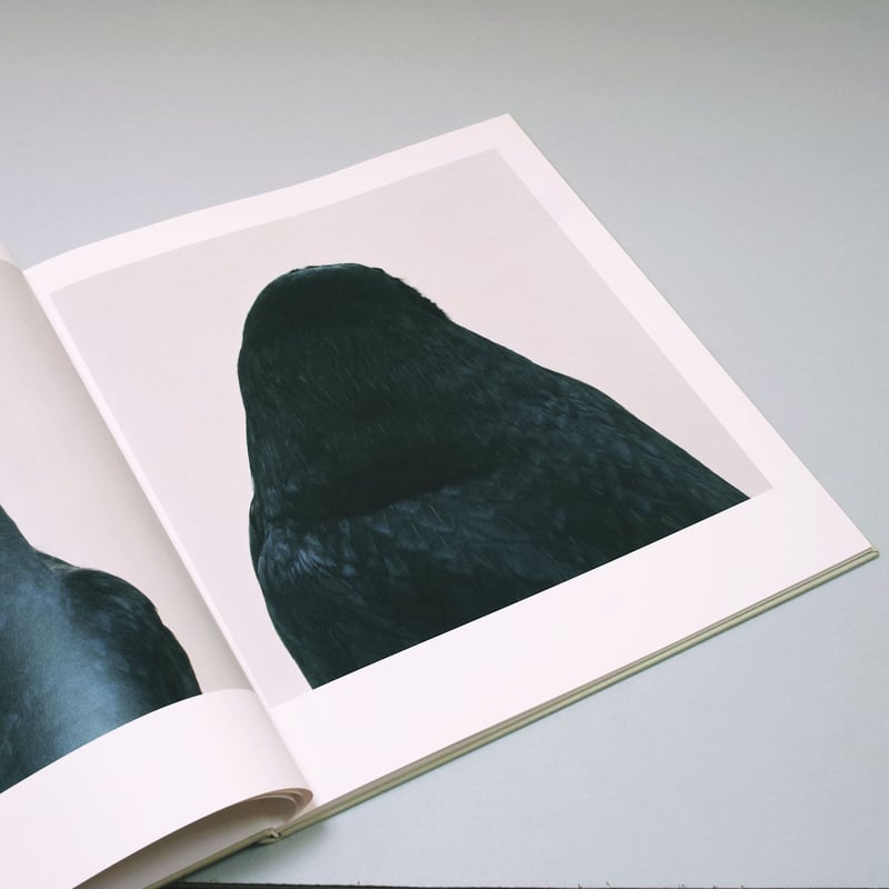 Roni Horn / bird | POST Roni Horn / bird | POST