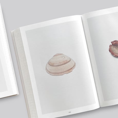 Nina Canell / Shell Reader