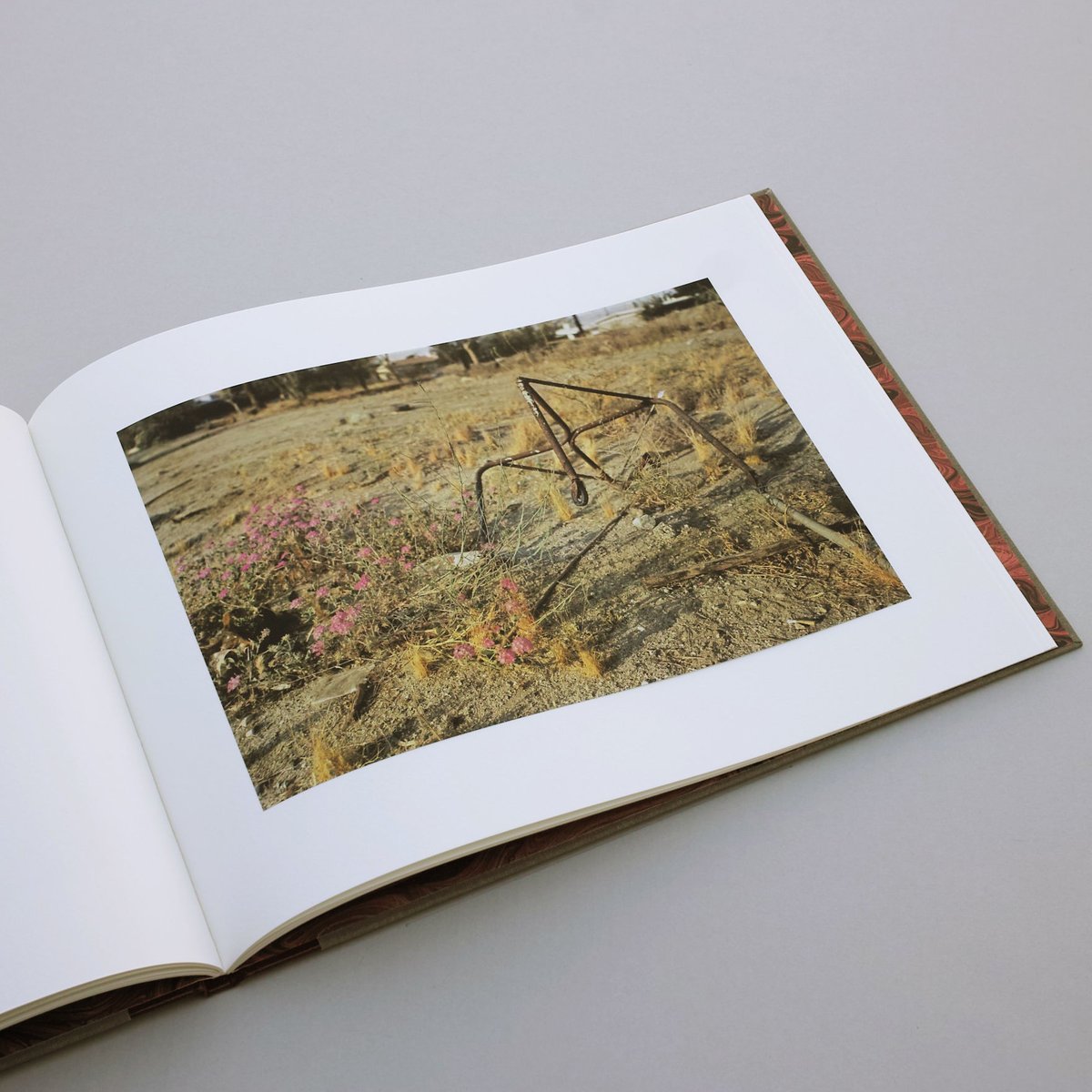 William Eggleston / Flowers | POST