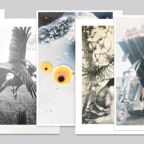 Stephen Gill / Large Poster Set