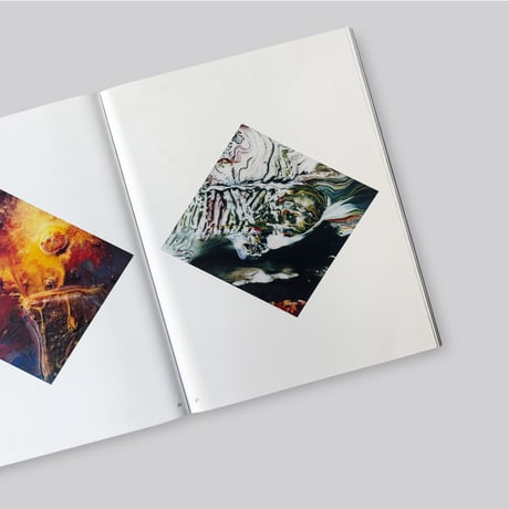 Gerhard Richter / Photographs