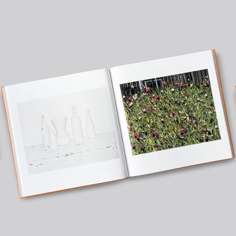 Alec Soth / ADVICE FOR YOUNG ARTISTS[SIGNED]