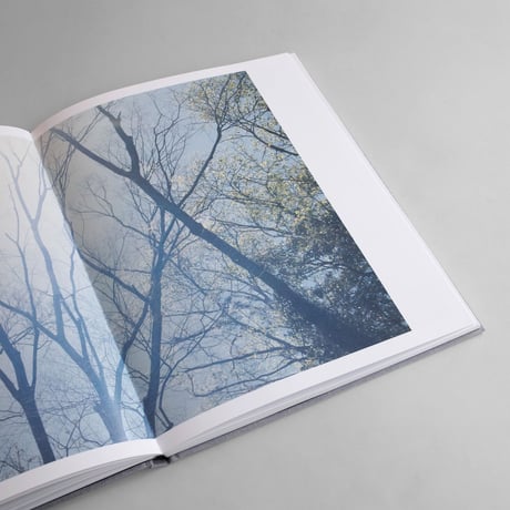 Rinko Kawauchi / Des Oiseaux