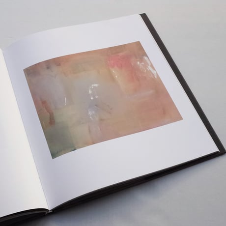 Helen Frankenthaler / Sea Change: A Decade of Paintings, 1974–1983 Catalogue