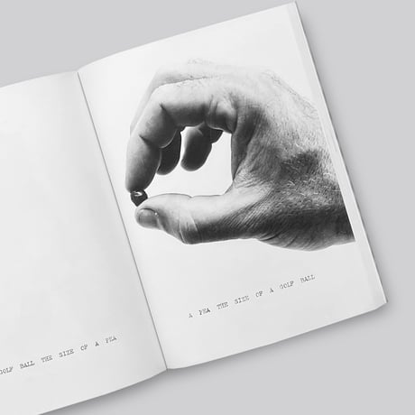 William Wegman / Writing by Artist