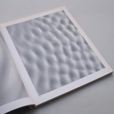 Carsten Nicolai / Static Fades
