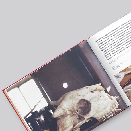 Le Corbusier. Travels, Objects and Collections