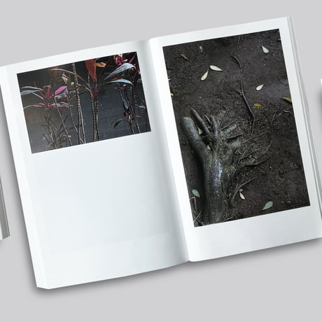 Chulhoon Jung / Arboretum