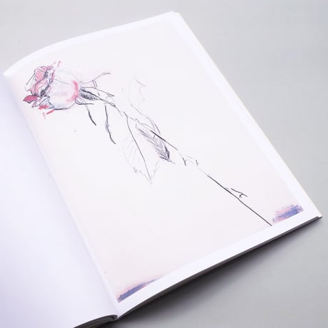 Sabine Moritz / Roses