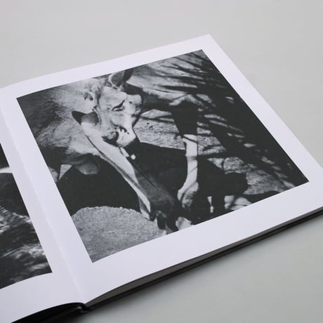 Diana Michener / A Song of Life