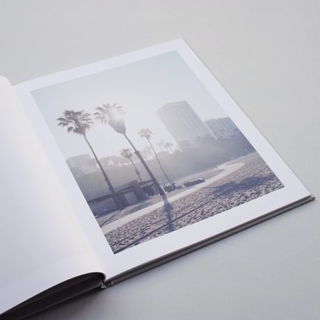 Marie-José Jongerius / Los Angeles Palms