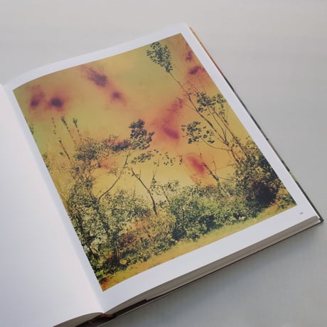 Wolfgang Tillmans