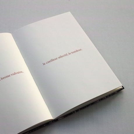 Sophie Calle / Les Fanfares de circonstance