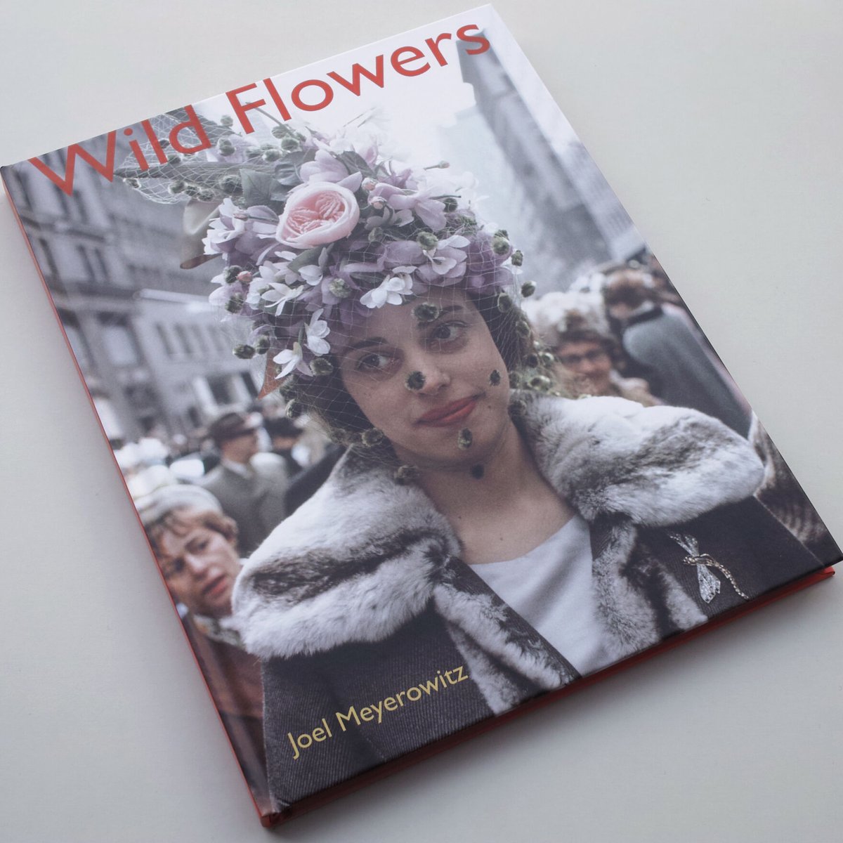 Joel Meyerowitz / Wild Flowers | POST Joel Meyerowitz / Wild Flowers | POST