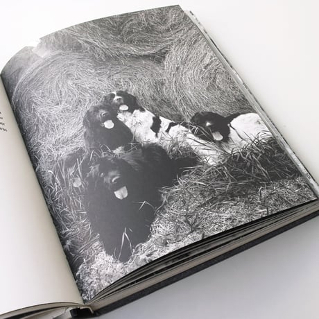Bruce Weber / Gentle Giants