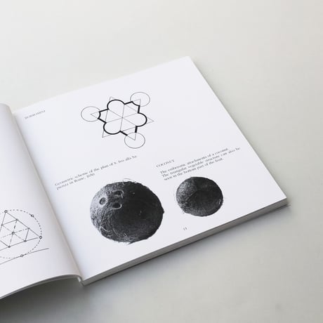 Bruno Munari / The Triangle
